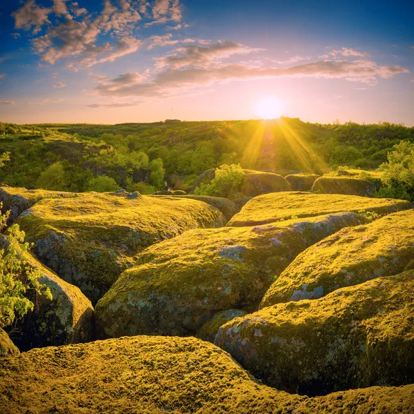 Valley of bright yellow stones — Stock Photo, Image