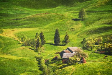 Bir dağ tepe Köyü