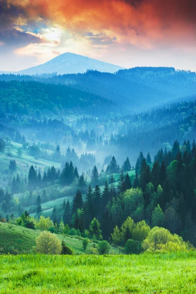 Ukrainian spring valley — Stock Photo, Image