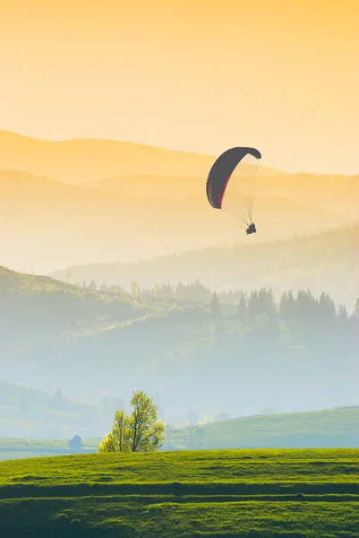 Flygande i ett varmt ljus — Stockfoto