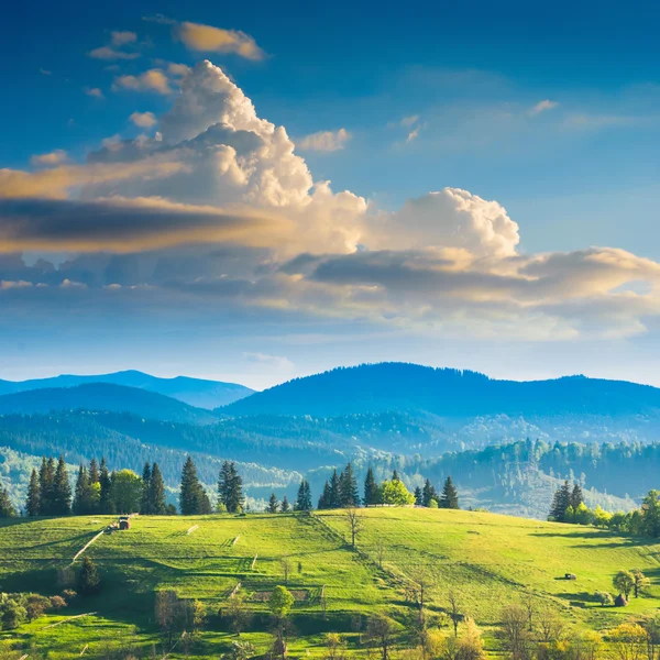 Karpat dağ tepe — Stok fotoğraf