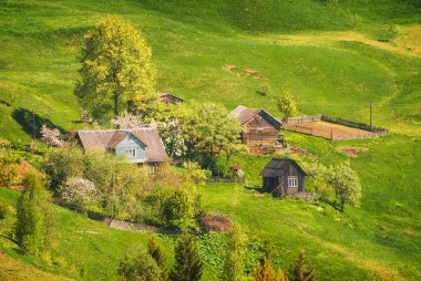 Yeşil Karpat Köyü