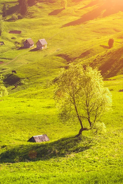 Bir bahar vadide ahşap evler — Stok fotoğraf