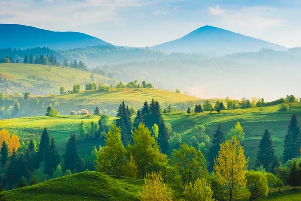 Primavera Valle de los Cárpatos — Foto de Stock