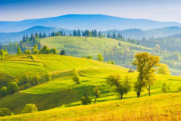 Våren morgonen dalen — Stockfoto