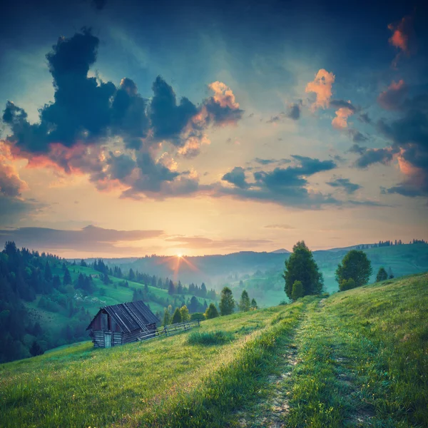Wonderful Carpathian morning. Vintage colors — Stock Photo, Image