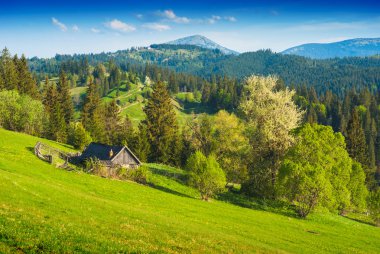 Bahar Karpat dağ Vadisi