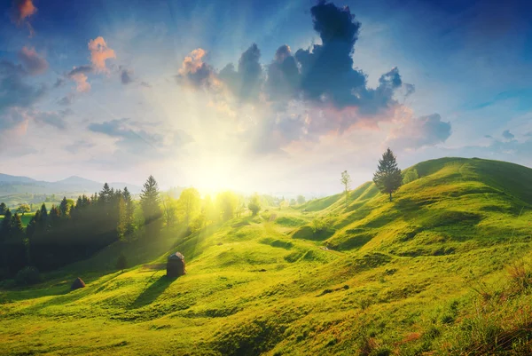 Carpathian amazing morning — Stock Photo, Image