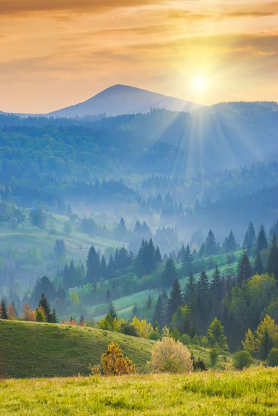 Karpatenorangener Morgen — Stockfoto