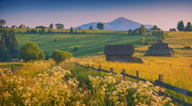 Bir Hoverla tepe üzerinde