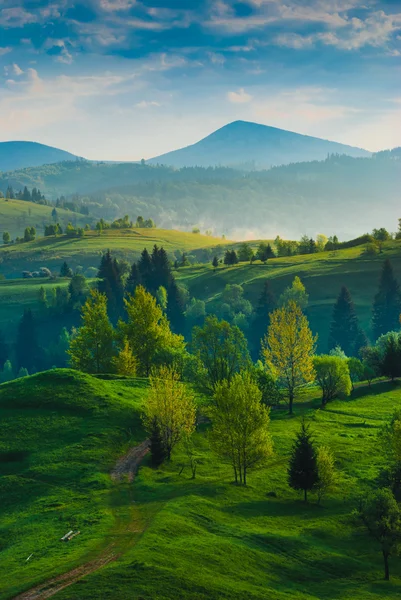 Valle di montagna gialla — Foto Stock