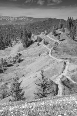 Karpat dağ sırtı toprak yolda