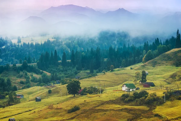 Mountain village in autumn Carpathian valley — Stock Photo, Image