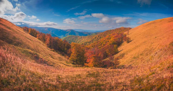 Golden autumn in a Carpathian mountains — Stock Photo, Image
