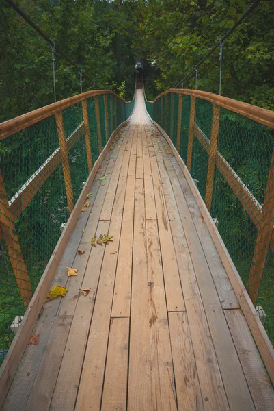 Pont suspendu en bois sur la rivière — Photo