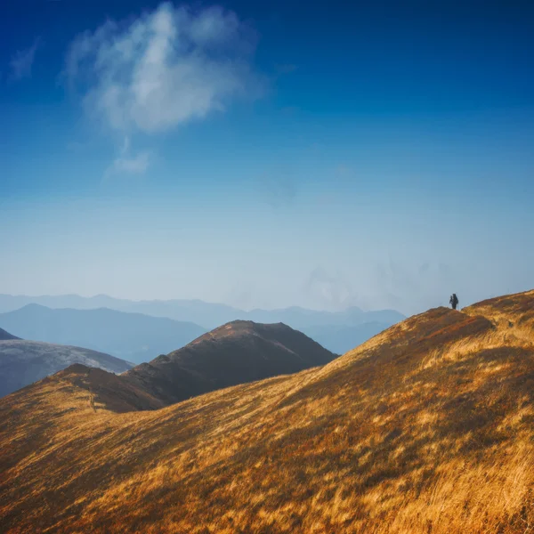 Hiker with big backpack on a track — Stock fotografie