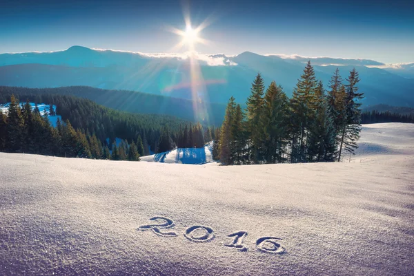 2016 written on a fresh snow — Stock Photo, Image