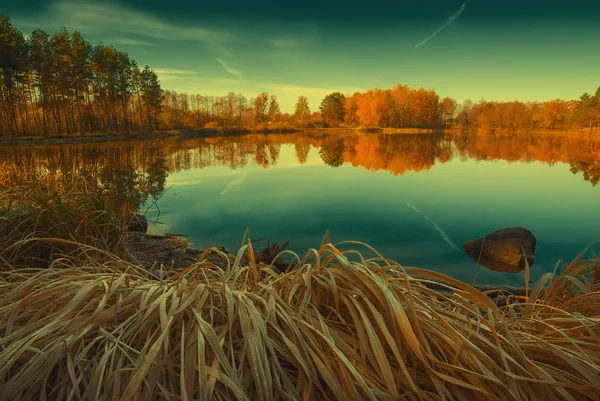 Bosque colorido de otoño en el lago. Colores vintage —  Fotos de Stock