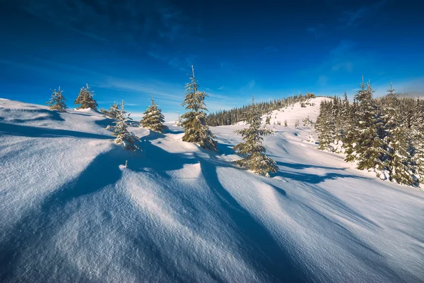 Valle del invierno de los Cárpatos —  Fotos de Stock