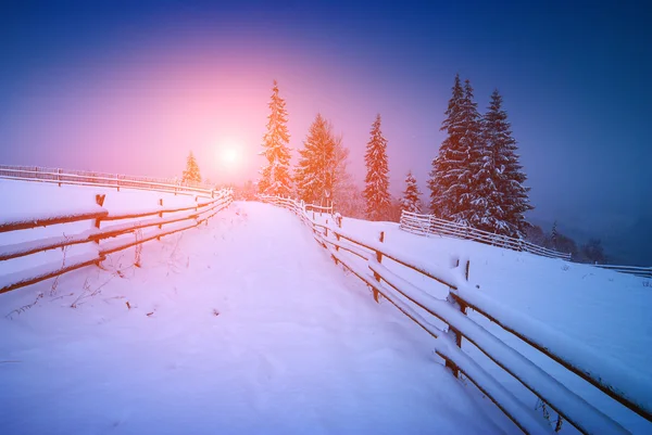 Majestuoso amanecer brillante en un valle —  Fotos de Stock