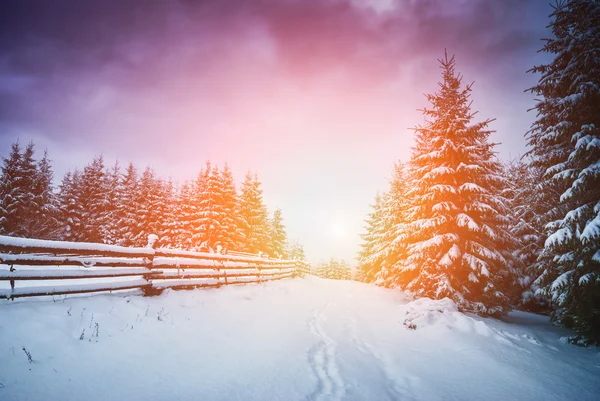 Majestuoso amanecer de los Cárpatos — Foto de Stock