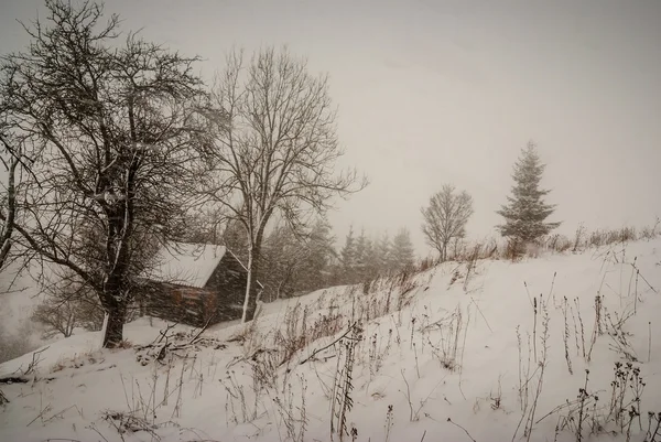 Chute de neige dans un village — Photo