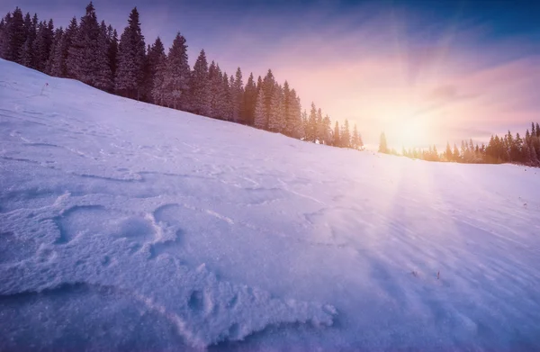 Sunrise in a Carpathians with pink clouds — Stock Photo, Image