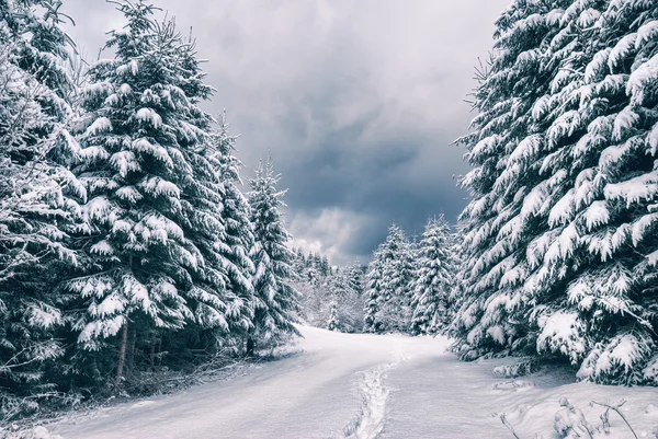 Widok Zima w górach karpackich — Zdjęcie stockowe