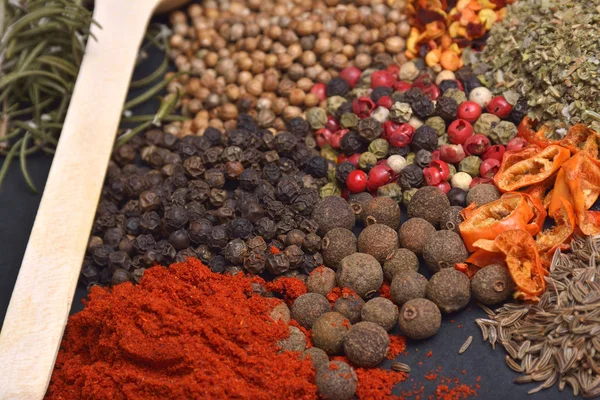 Composition with different spices and herbs — Stock Photo, Image