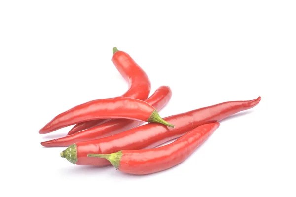 Pimientos rojos picantes aislados sobre fondo blanco — Foto de Stock