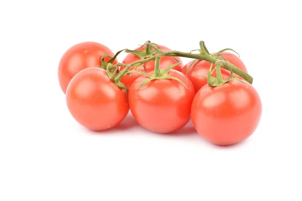 Bund frischer Tomaten. isoliert auf weißem Hintergrund — Stockfoto