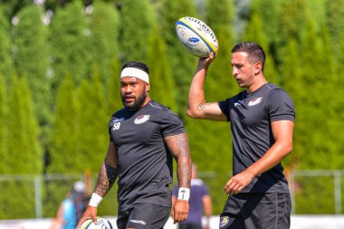 Brasov, Romanya, 29 Ağustos 2020 - SCM RUGBY Timisoara - Oficial - ACS Tomitanii Constanta, yarı final Süper Liga Cec Bank