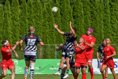 Brasov, Romanya, 30 Ağustos 2020 - Dinamo Rugby VS RUGBY U Cluj Oficial, yarı final Süper Liga Cec Bank arasındaki maçta bilinmeyen rugby oyuncusu