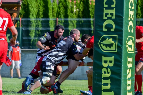 Brasov Romania August 2020 Unknow Rugby Player Game Dinamo Rugby — Stock Photo, Image