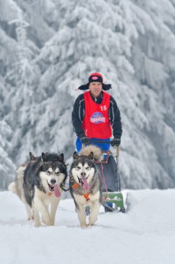 SARATA MONTEORU, BUZAU, ROMANIA 11-14 Ekim 2018: GTC TROPHY 2018 Bilinmeyen Yarışmacı Romanya Off-Road Şampiyonası 'nın en uzun günü