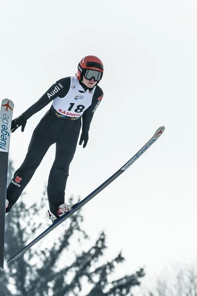 Rasnov Roemenië Januari 2019 Onbekende Skijumper Neemt Deel Aan Fis — Stockfoto