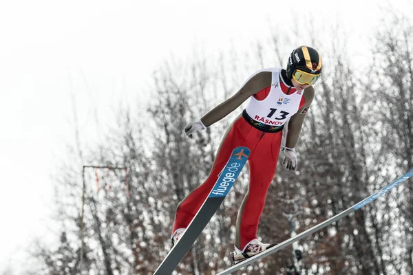Rasnov Rumania Enero 2019 Saltador Esquí Desconocido Compite Fis Ski — Foto de Stock