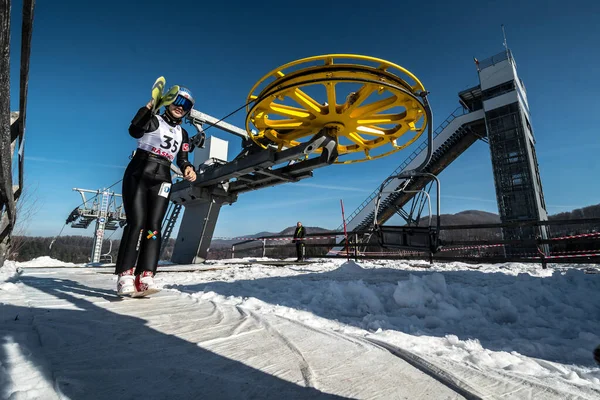 Rasnov Roemenië Januari 2019 Onbekende Skijumper Neemt Deel Aan Fis — Stockfoto