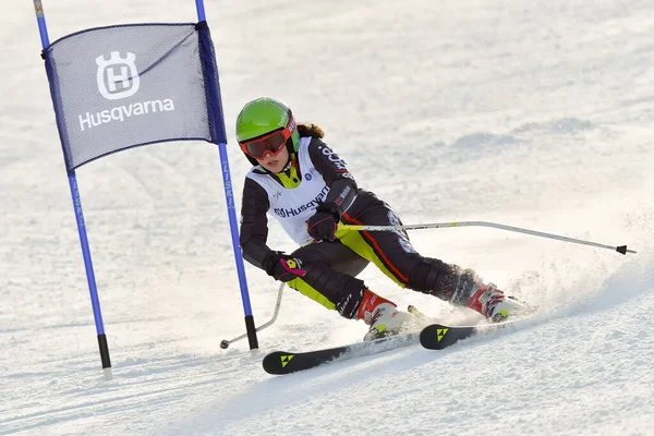 Brasov Roménia Fevereiro 2017 Desconhecer Jovens Competidores Romênia Husqvarna Cup — Fotografia de Stock