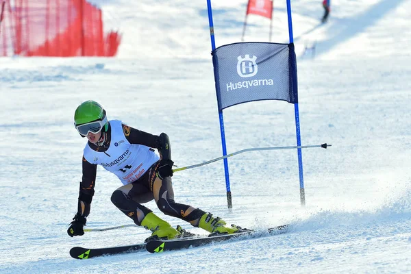 Brasov Romania Febrero 2017 Jóvenes Competidores Rumania Husqvarna Cup Junior —  Fotos de Stock