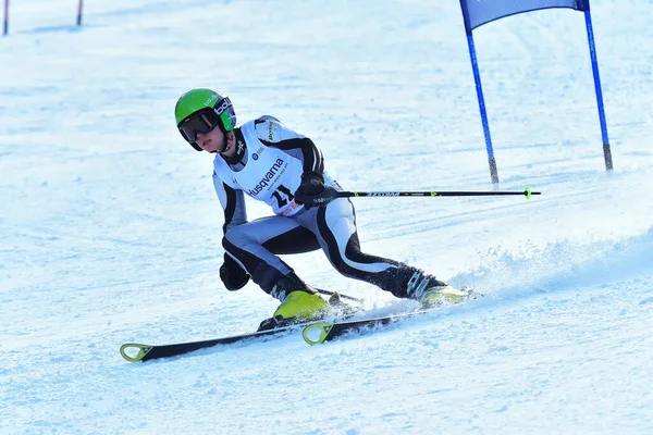 Brasov Rumänien Februar 2017 Junge Teilnehmer Beim Rumänischen Husqvarna Cup — Stockfoto