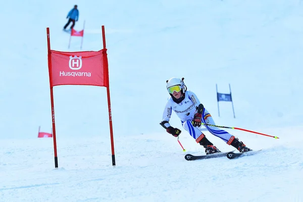 ブラソフ ルーマニア 2017年2月 ルーマニアの若い競合他社Husqvarna Cup 2017年2月4日 5日のジュニアアルペンスキー ルーマニア ポアイナブラソフ — ストック写真