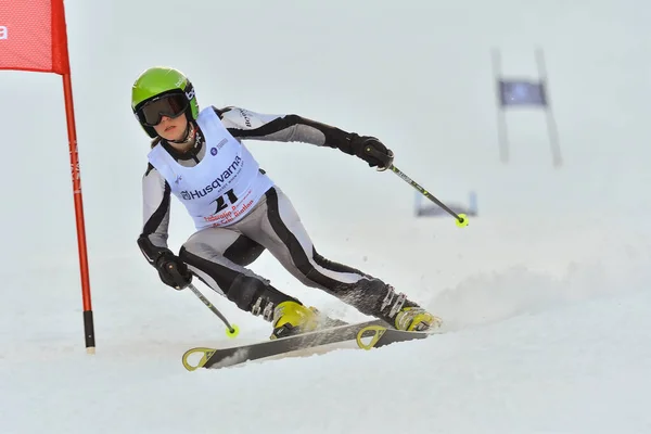 Brasov Romania Febrero 2017 Jóvenes Competidores Rumania Husqvarna Cup Junior — Foto de Stock