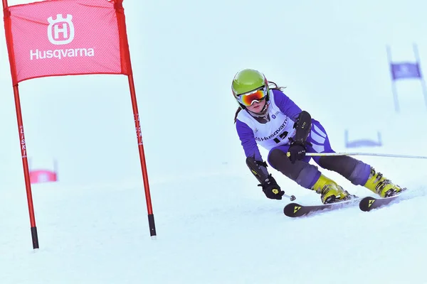 Brasov Romania Şubat 2017 Romanya Daki Genç Yarışmacılar Husqvarna Cup — Stok fotoğraf