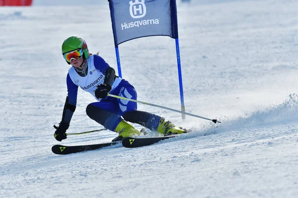 Brasov Romania Febrero 2017 Jóvenes Competidores Rumania Husqvarna Cup Junior —  Fotos de Stock