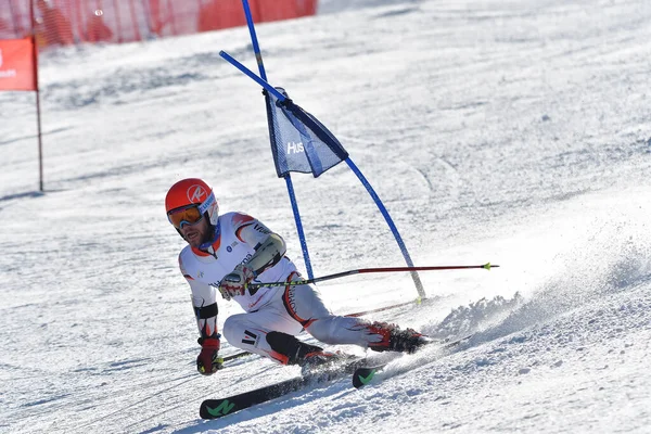 Brasov Roumanie Février 2017 Jeunes Compétiteurs Roumanie Husqvarna Cup Ski Photos De Stock Libres De Droits