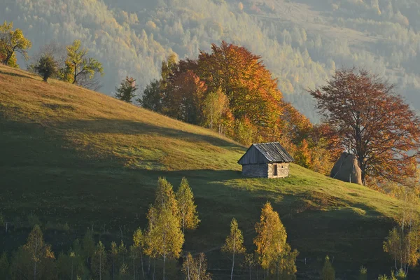 Herfst landschap in de bergen — Stockfoto