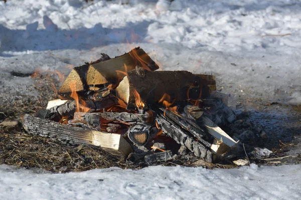 Close Up of Camping Fire — Stok Foto