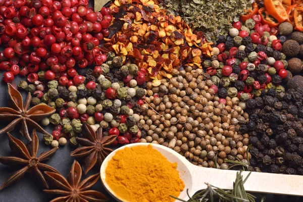 Composition with different spices and herbs — Stock Photo, Image