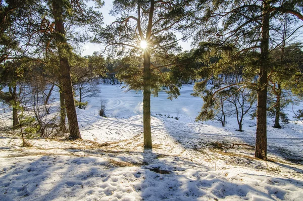 Winter landscape in Russia.